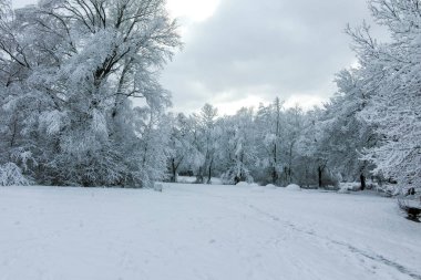 Bulgaristan 'ın Sofya kentindeki South Park' ın şaşırtıcı kış manzarası