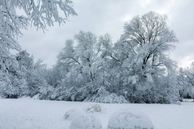 Bulgaristan 'ın Sofya kentindeki South Park' ın şaşırtıcı kış manzarası