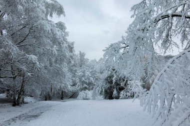 Bulgaristan 'ın Sofya kentindeki South Park' ın şaşırtıcı kış manzarası