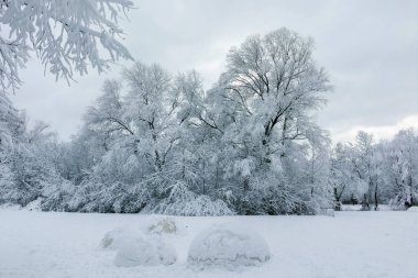 Bulgaristan 'ın Sofya kentindeki South Park' ın şaşırtıcı kış manzarası