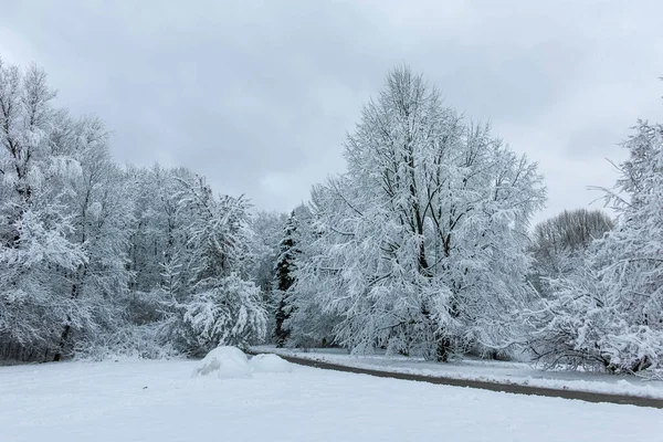 Bulgaristan 'ın Sofya kentindeki South Park' ın şaşırtıcı kış manzarası