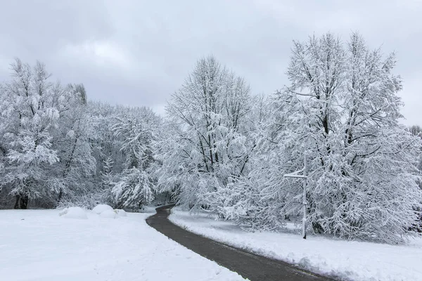 Bulgaristan 'ın Sofya kentindeki South Park' ın şaşırtıcı kış manzarası