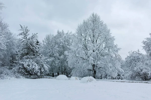 Paisagem Inverno Incrível South Park Cidade Sofia Bulgária — Fotografia de Stock