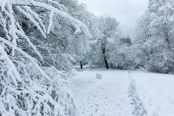 Bulgaristan 'ın Sofya kentindeki South Park' ın şaşırtıcı kış manzarası