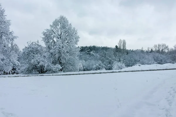 Bulgaristan 'ın Sofya kentindeki South Park' ın şaşırtıcı kış manzarası