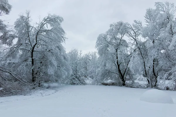 Bulgaristan 'ın Sofya kentindeki South Park' ın şaşırtıcı kış manzarası