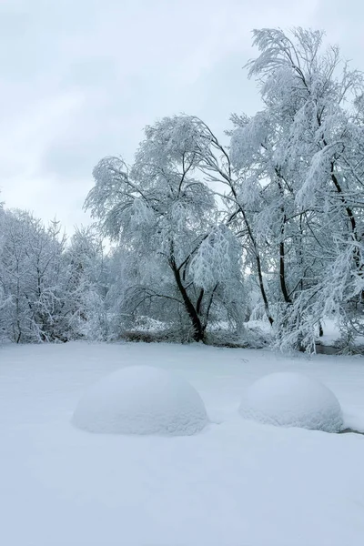 Bulgaristan 'ın Sofya kentindeki South Park' ın şaşırtıcı kış manzarası