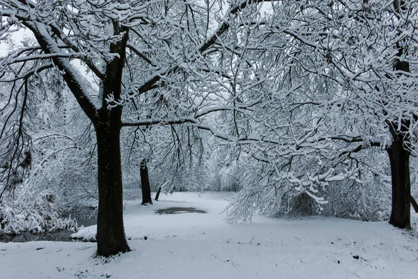 Paisagem Inverno Incrível South Park Cidade Sofia Bulgária — Fotografia de Stock