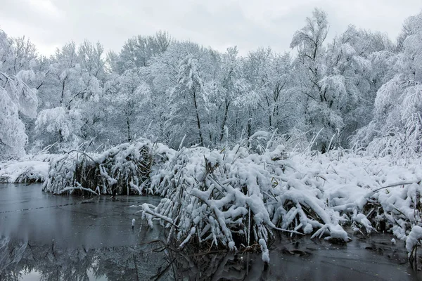 Bulgaristan 'ın Sofya kentindeki South Park' ın şaşırtıcı kış manzarası