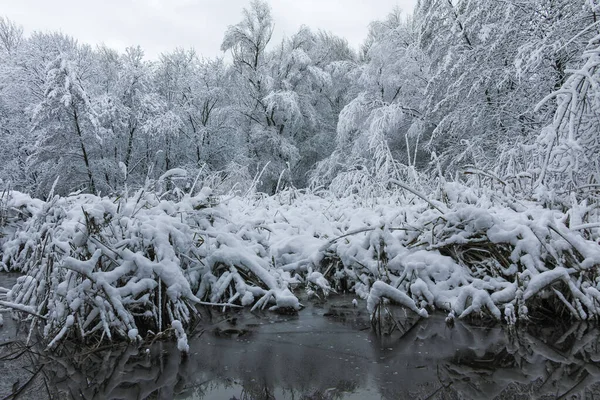 Bulgaristan 'ın Sofya kentindeki South Park' ın şaşırtıcı kış manzarası