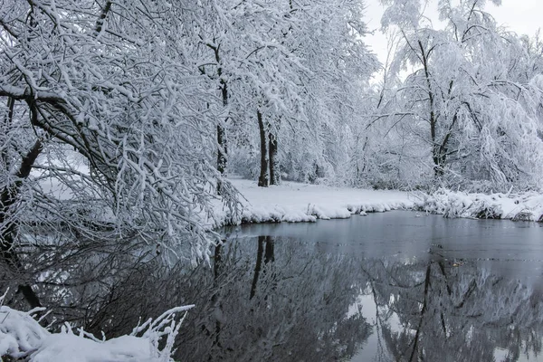 Bulgaristan 'ın Sofya kentindeki South Park' ın şaşırtıcı kış manzarası