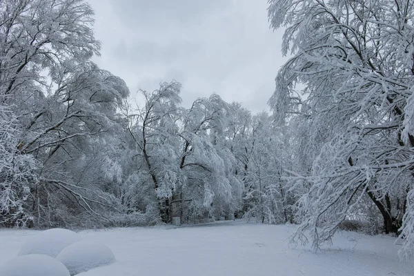 Bulgaristan 'ın Sofya kentindeki South Park' ın şaşırtıcı kış manzarası