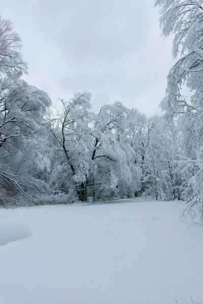 Bulgaristan 'ın Sofya kentindeki South Park' ın şaşırtıcı kış manzarası