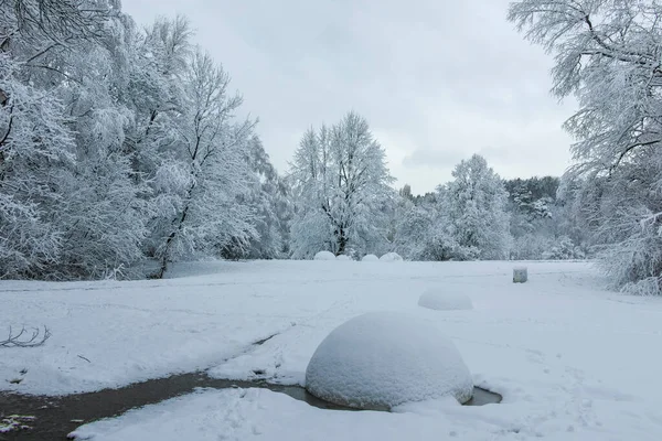 Bulgaristan 'ın Sofya kentindeki South Park' ın şaşırtıcı kış manzarası