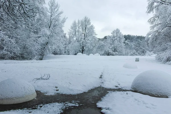 Bulgaristan 'ın Sofya kentindeki South Park' ın şaşırtıcı kış manzarası