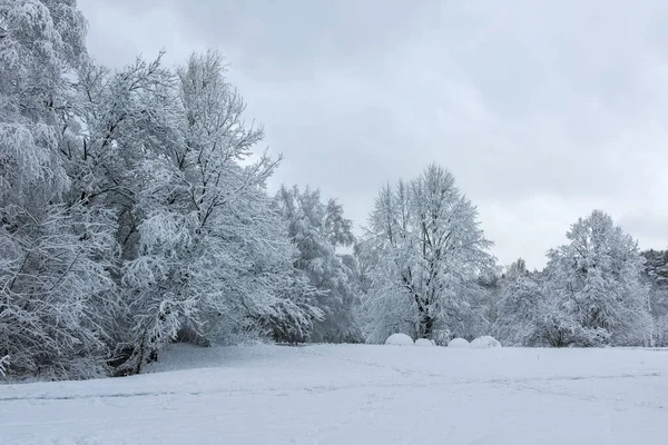 Bulgaristan 'ın Sofya kentindeki South Park' ın şaşırtıcı kış manzarası