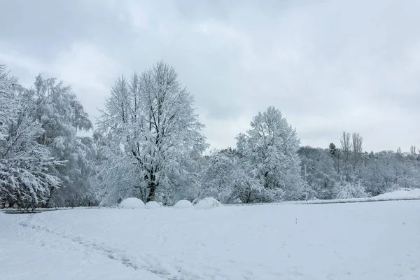 Bulgaristan 'ın Sofya kentindeki South Park' ın şaşırtıcı kış manzarası