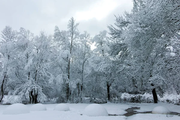 Erstaunliche Winterlandschaft Des Südparks Sofia Bulgarien — Stockfoto