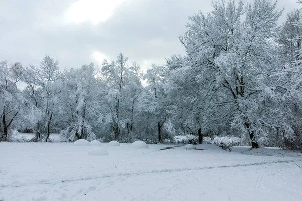 Bulgaristan 'ın Sofya kentindeki South Park' ın şaşırtıcı kış manzarası