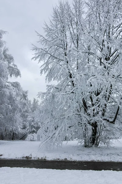 Bulgaristan 'ın Sofya kentindeki South Park' ın şaşırtıcı kış manzarası