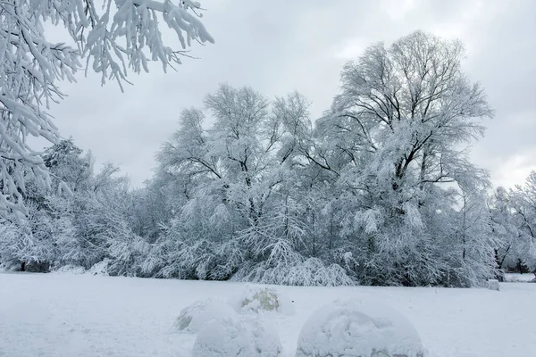Bulgaristan 'ın Sofya kentindeki South Park' ın şaşırtıcı kış manzarası