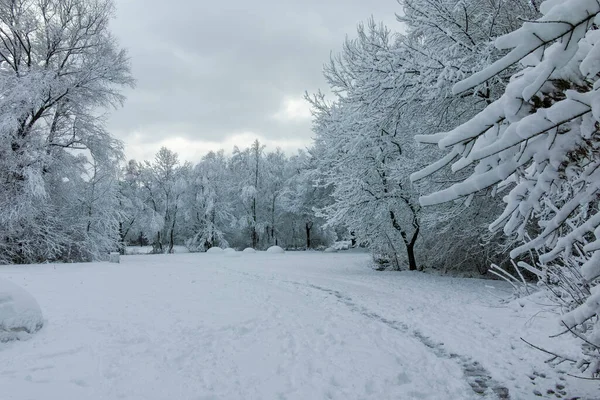 Bulgaristan 'ın Sofya kentindeki South Park' ın şaşırtıcı kış manzarası