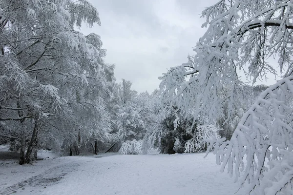 Bulgaristan 'ın Sofya kentindeki South Park' ın şaşırtıcı kış manzarası