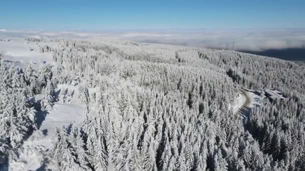 Flygfoto Vinter Utsikt Över Vitosha Mountain Sofia City Region Bulgarien — Stockvideo