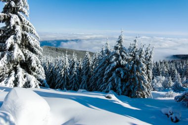 Bulgaristan 'ın Sofya Şehir Bölgesi, Vitosha Dağı' nın İnanılmaz Kış manzarası
