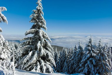 Bulgaristan 'ın Sofya Şehir Bölgesi, Vitosha Dağı' nın İnanılmaz Kış manzarası
