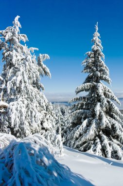Bulgaristan 'ın Sofya Şehir Bölgesi, Vitosha Dağı' nın İnanılmaz Kış manzarası
