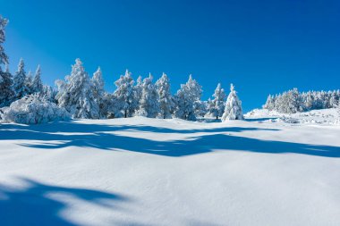 Bulgaristan 'ın Sofya Şehir Bölgesi, Vitosha Dağı' nın İnanılmaz Kış manzarası