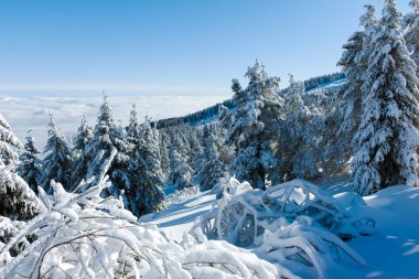 Bulgaristan 'ın Sofya Şehir Bölgesi, Vitosha Dağı' nın İnanılmaz Kış manzarası
