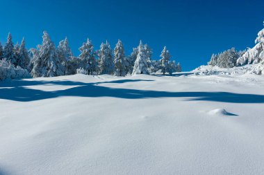 Bulgaristan 'ın Sofya Şehir Bölgesi, Vitosha Dağı' nın İnanılmaz Kış manzarası
