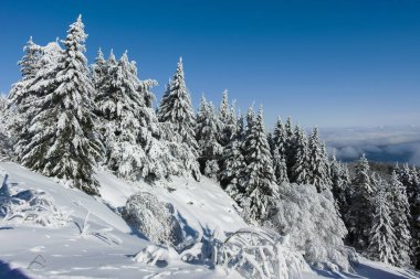 Bulgaristan 'ın Sofya Şehir Bölgesi, Vitosha Dağı' nın İnanılmaz Kış manzarası