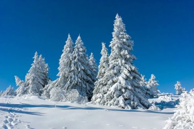Bulgaristan 'ın Sofya Şehir Bölgesi, Vitosha Dağı' nın İnanılmaz Kış manzarası