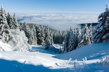 Bulgaristan 'ın Sofya Şehir Bölgesi, Vitosha Dağı' nın İnanılmaz Kış manzarası