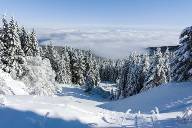 Bulgaristan 'ın Sofya Şehir Bölgesi, Vitosha Dağı' nın İnanılmaz Kış manzarası