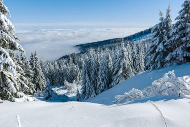 Bulgaristan 'ın Sofya Şehir Bölgesi, Vitosha Dağı' nın İnanılmaz Kış manzarası