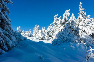 Bulgaristan 'ın Sofya Şehir Bölgesi, Vitosha Dağı' nın İnanılmaz Kış manzarası