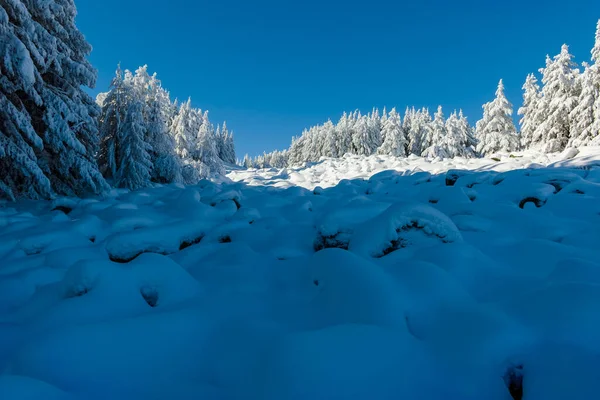 Bulgaristan Sofya Şehir Bölgesi Vitosha Dağı Nın Nanılmaz Kış Manzarası — Stok fotoğraf