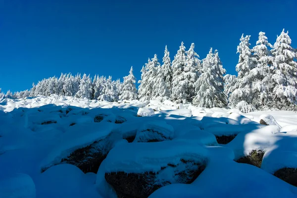 Bulgaristan Sofya Şehir Bölgesi Vitosha Dağı Nın Nanılmaz Kış Manzarası — Stok fotoğraf