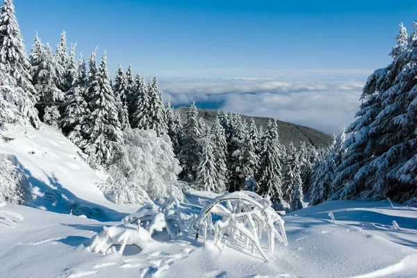 Amazing Winter Landscape Vitosha Mountain Sofia City Region Bulgaria — Stock Photo, Image