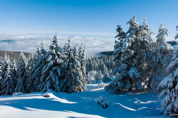 Amazing Winter Landscape Vitosha Mountain Sofia City Region Bulgaria Stock Image