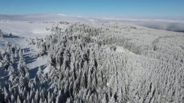 Bulgaristan 'ın Sofya Şehir Bölgesi, Vitosha Dağı' nın Hava Kış Manzarası