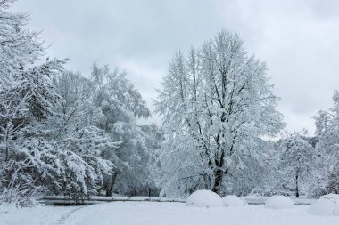 Bulgaristan 'ın Sofya kentindeki South Park manzarası şaşırtıcı.