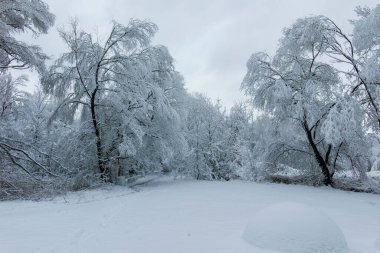 Bulgaristan 'ın Sofya kentindeki South Park manzarası şaşırtıcı.