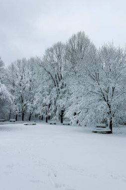 Bulgaristan 'ın Sofya kentindeki South Park manzarası şaşırtıcı.