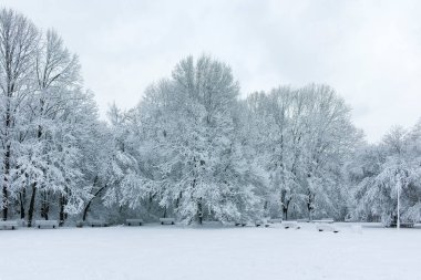 Bulgaristan 'ın Sofya kentindeki South Park manzarası şaşırtıcı.