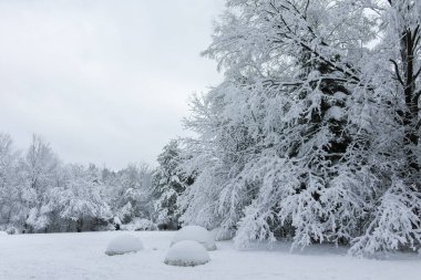 Bulgaristan 'ın Sofya kentindeki South Park manzarası şaşırtıcı.